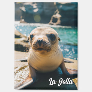 Imán Tarjeta postal de bebé lobo marino La Jolla Califo