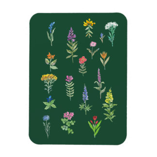Imán tarjeta postal de flores de jardín