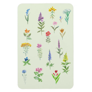 Imán tarjeta postal de flores de jardín