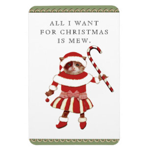 Imán Tarjetas de Navidad Divertidas de Gatos