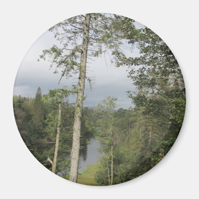 Imán Tarn Hows Trees Magnet (Frente)