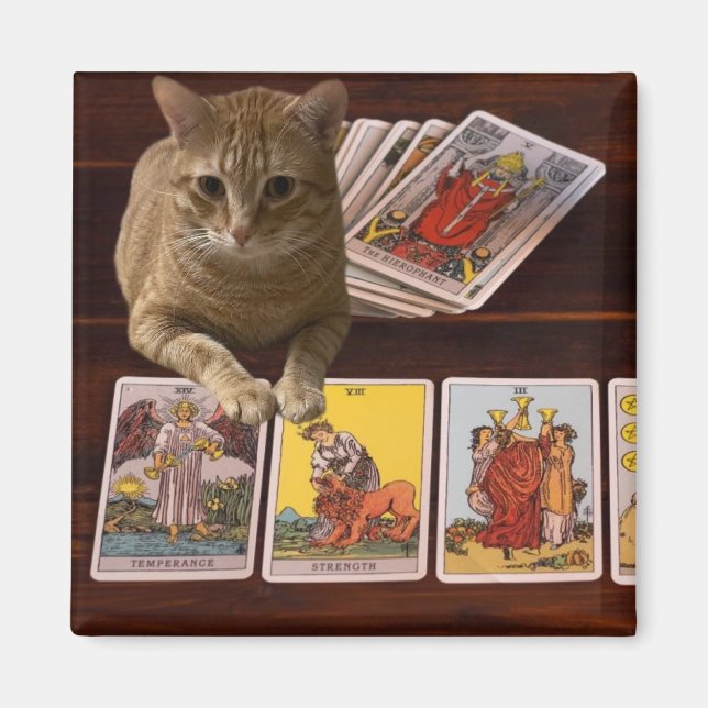 Imán Tarot Cat (Frente)