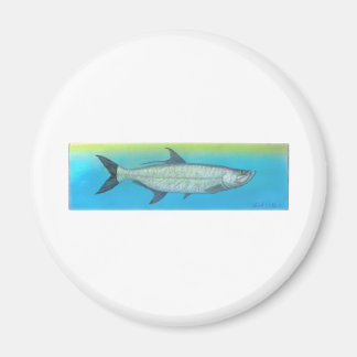 Imán Tarpon