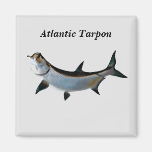 Imán Tarpon