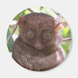 Imán Tarsier Filipino