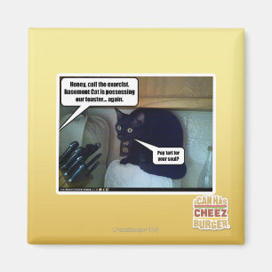 Imán ¿Tarta del estallido para su alma?