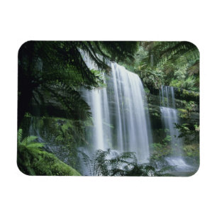 Imán Tasmania, Parque Nacional Mt. Field, cascadas Russ