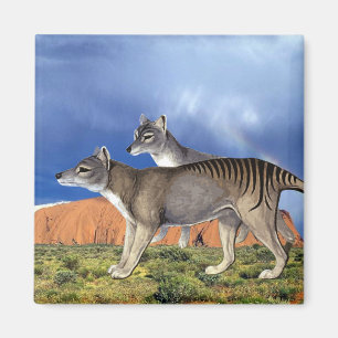 Imán tasmano del tigre