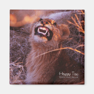 Imán Tau Feliz, Sonriente Cubo de León