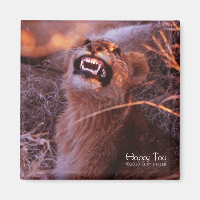 Imán Tau Feliz, Sonriente Cubo de León (Frente)