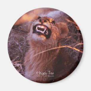 Imán Tau Feliz, Sonriente Cubo de León