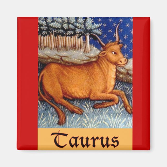 Imán Tauro (Frente)