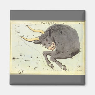 Imán Taurus Bull, el espejo de la vieja constelación de