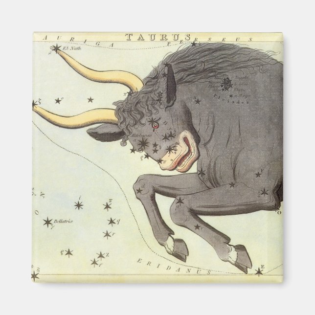 Imán Taurus Bull, el espejo de la vieja constelación de (Frente)