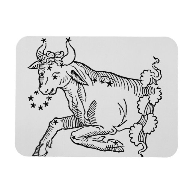 Imán Taurus (el toro) un ilustracion de "Poetic" (Horizontal)
