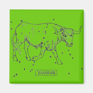 Imán Taurus Magnet
