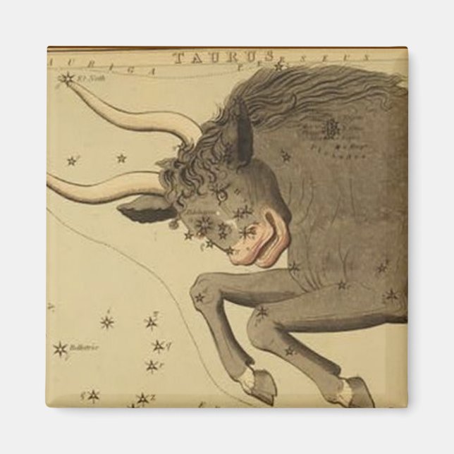 Imán Taurus Magnet (Frente)