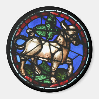 Imán Taurus Zodiac Sed Glass Notre-Dame de Paris M1