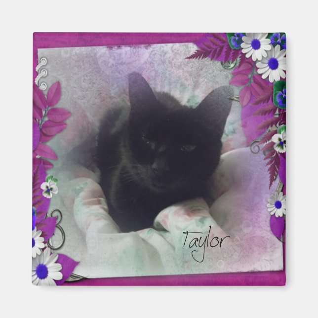 Imán Taylor Refrigerator Magnet (Frente)