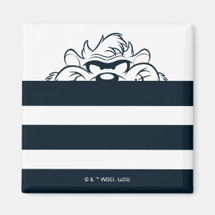 Imán TAZ™ Ocultado en franjas