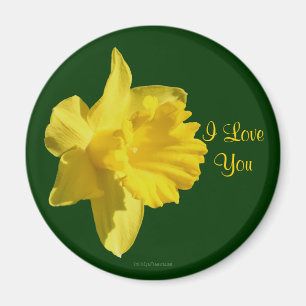 Imán Te Amo Daffodil Flower Flower Magnet