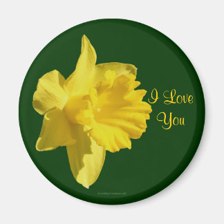 Imán Te Amo Daffodil Flower Flower Magnet