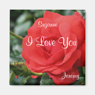 Imán Te Amo La Flor Rosa Roja Personalizada