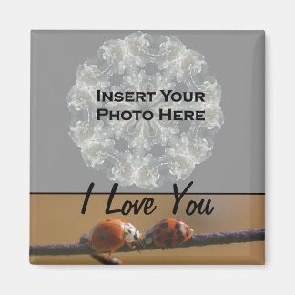 Imán Te Amo Ladybugs Photo