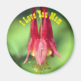 Imán Te Amo Mamá Flor de Columbine