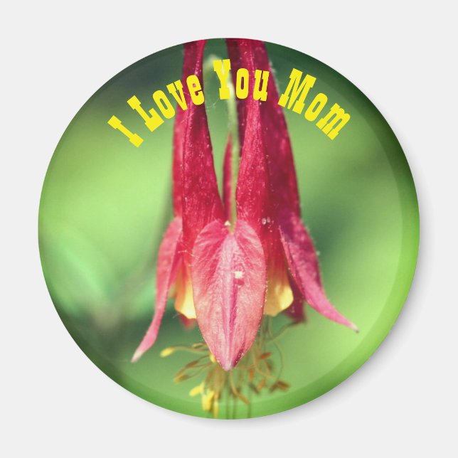 Imán Te Amo Mamá Flor de Columbine  (Frente)