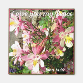 Imán '¡Te doy mi paz!'