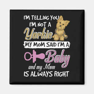 Imán Te estoy diciendo que no soy Yorkie, mi mamá dijo