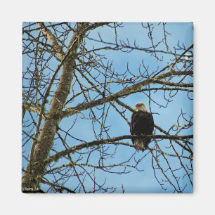 Imán Te estoy vigilando