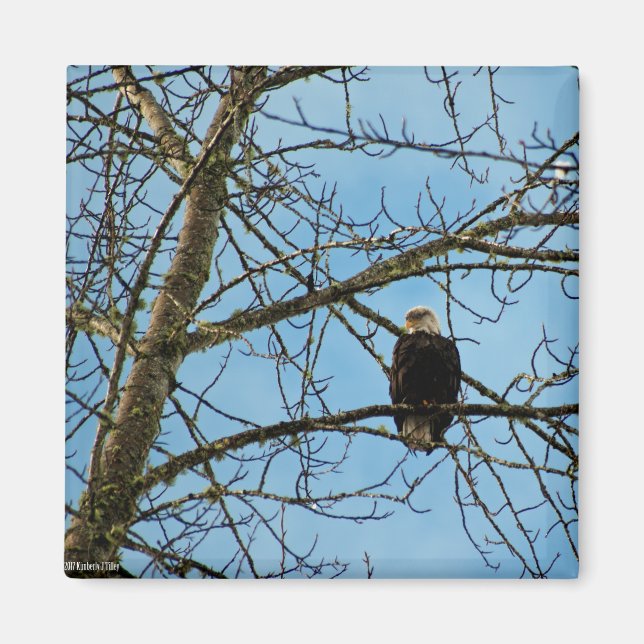 Imán Te estoy vigilando (Frente)