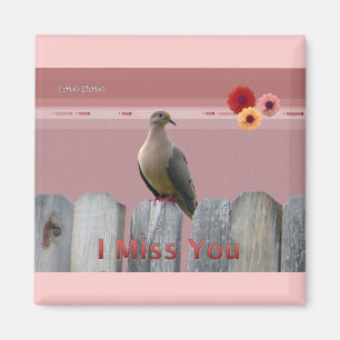 Imán Te Extraño La Amor Dove