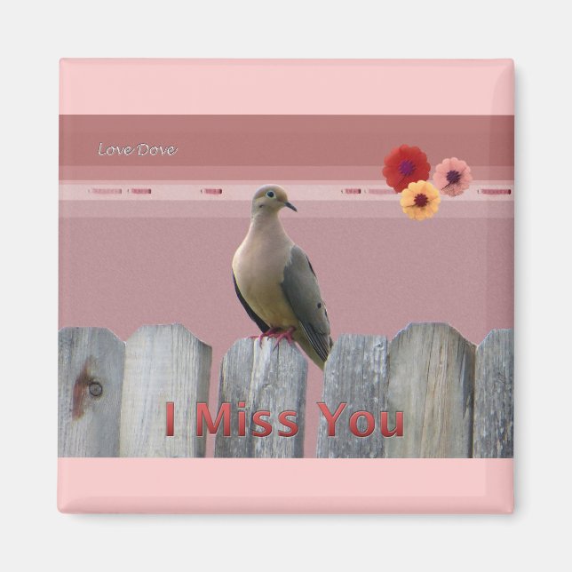 Imán Te Extraño La Amor Dove (Frente)