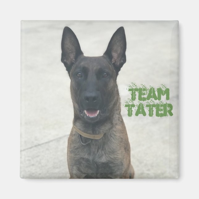 Imán Team Tater Magnet (cuadrado) (Frente)