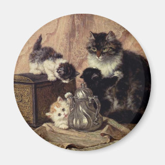 Imán Teatime_For_Kittens