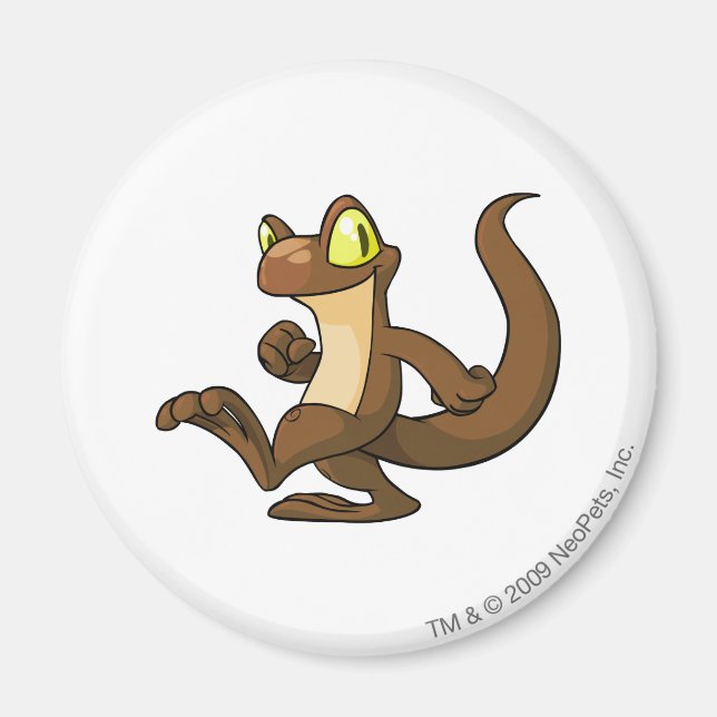 Imán Techo Brown (Frente)