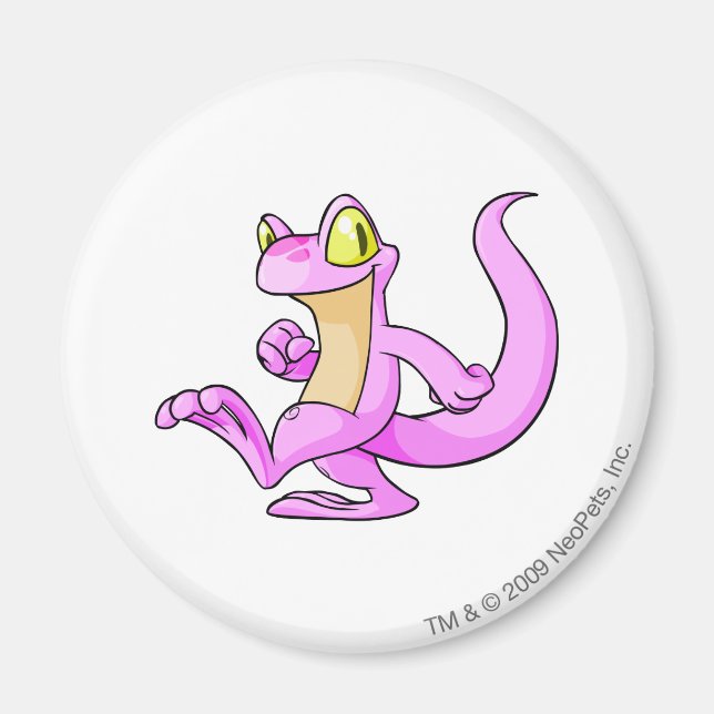 Imán Techo Pink (Frente)