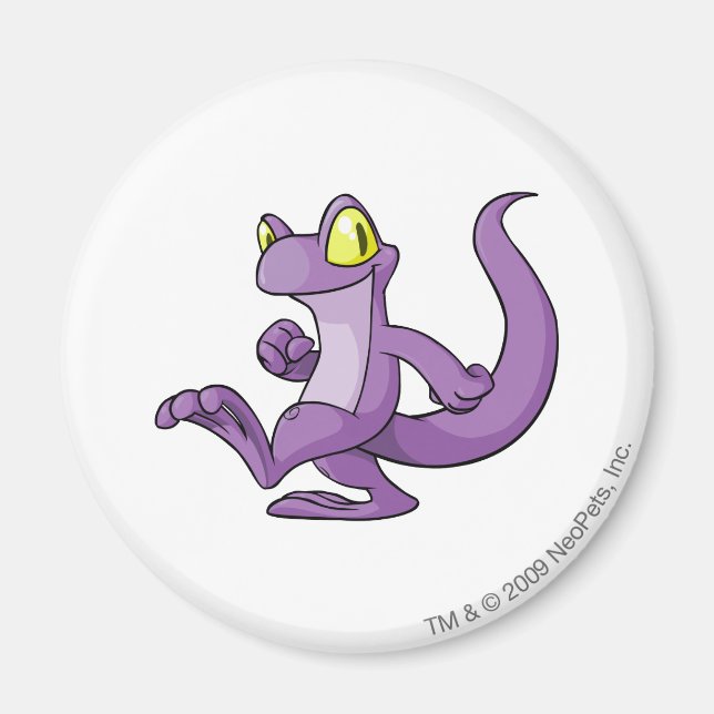 Imán Techo Purple (Frente)