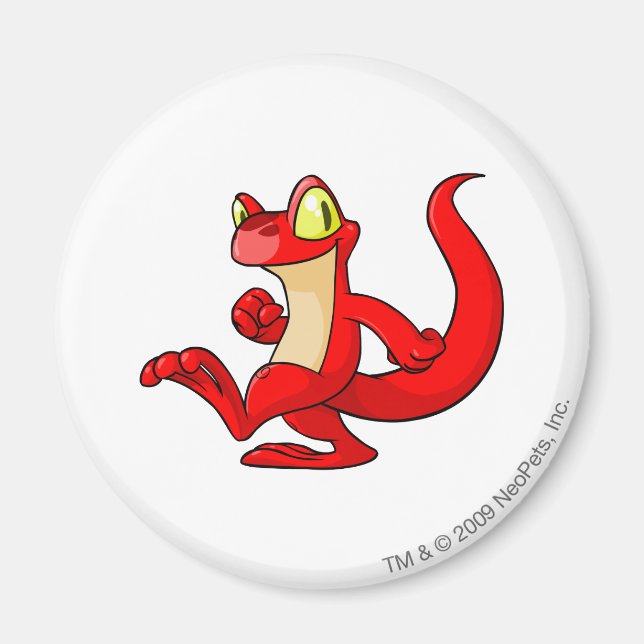 Imán Techo Red (Frente)