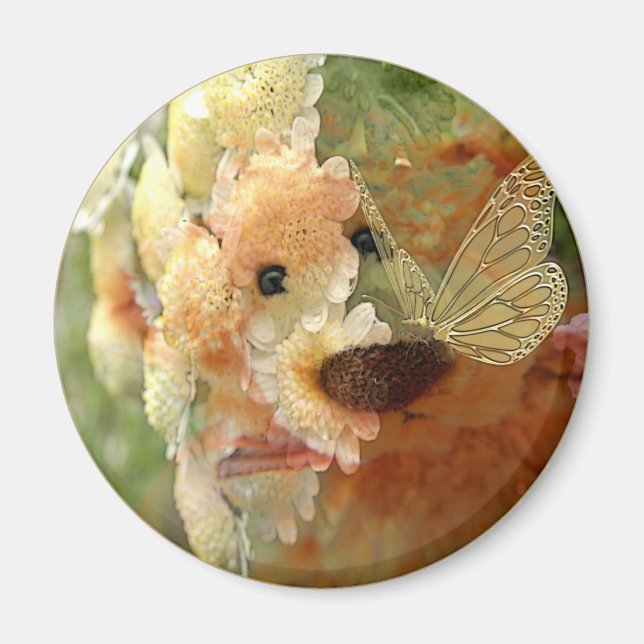 Imán Teddy Bear (Frente)