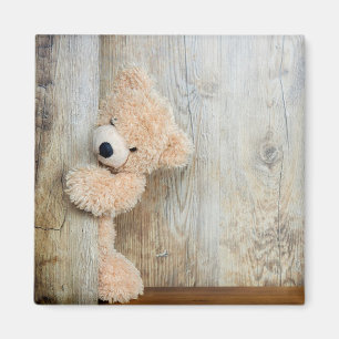 Imán Teddy Bear