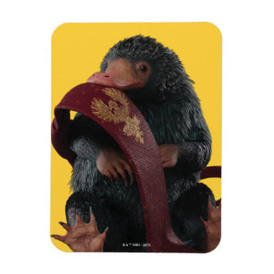 Imán Teddy Con El Gráfico De Tie