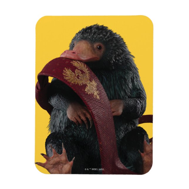 Imán Teddy Con El Gráfico De Tie (Vertical)