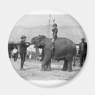 Imán Teddy Roosevelt en el circo: 1924