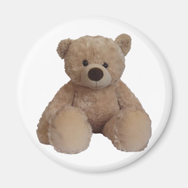 Imán Teddy Tompkin. (Frente)