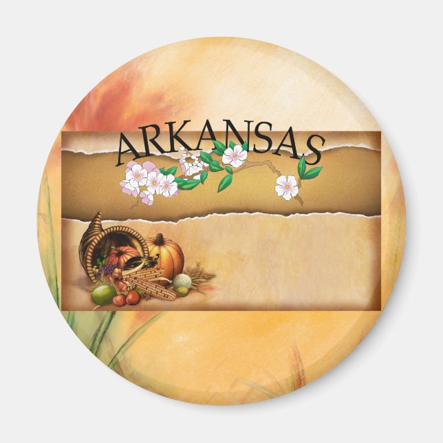 Imán TEE Arkansas Magnets (Frente)