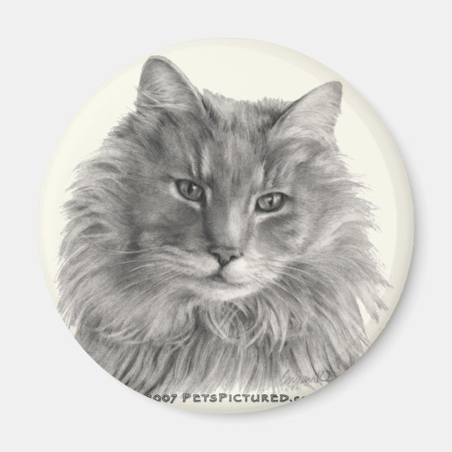 Imán TeeGee, Gato Gris Largo (Frente)